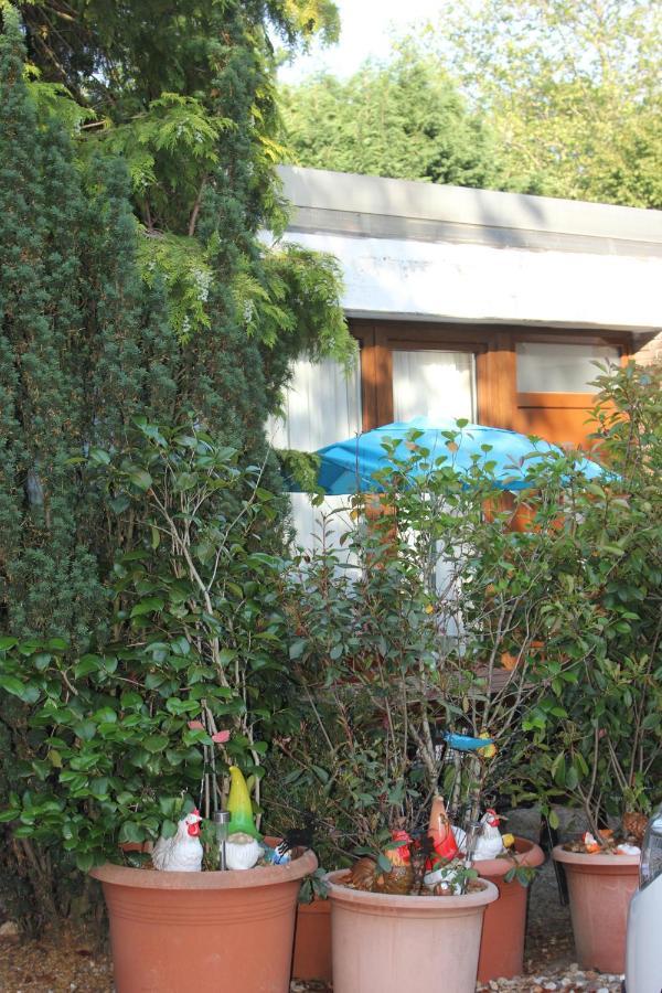 Ferienwohnung Fellnasen Wg Krefeld Kültér fotó